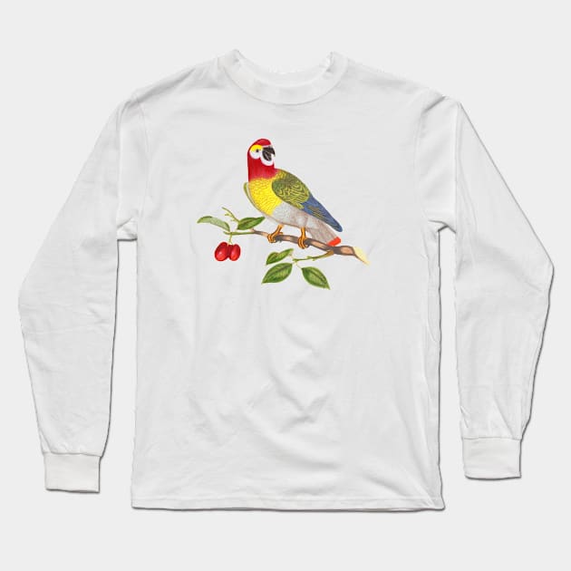 Parrot Bird Colorful Wildlife Illustration Long Sleeve T-Shirt by Biophilia